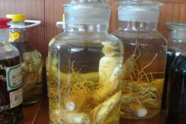 西洋參怎么吃效果最好 吃西洋參的最佳時間