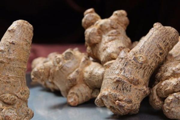 三七加蜂蜜的功效與作用