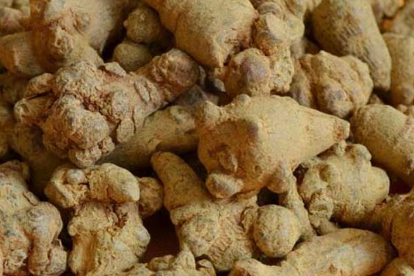 春三七好還是冬三七好