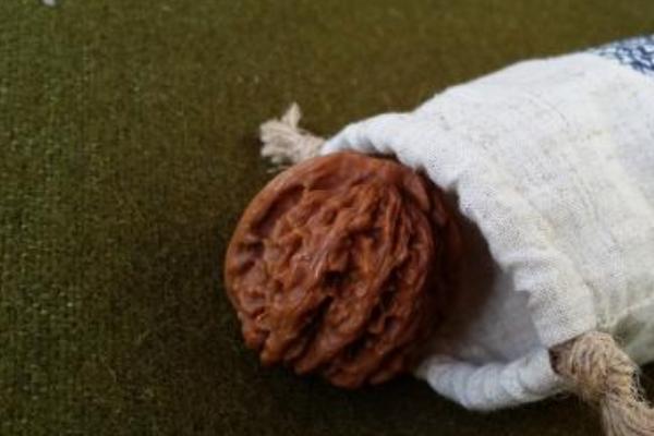 文玩核桃怎么挑選 文玩核桃哪里買