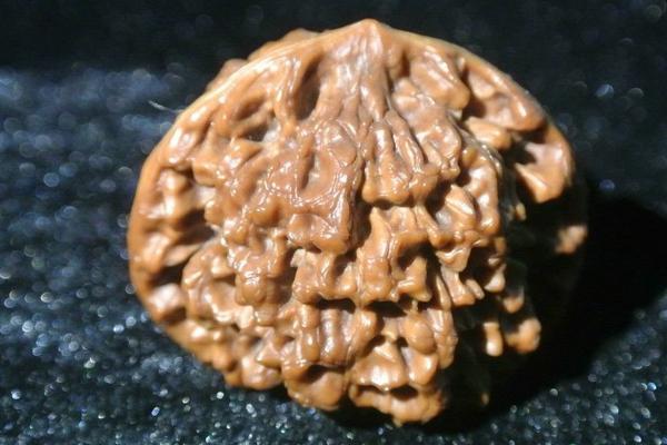 文玩核桃怎么挑選 文玩核桃哪里買