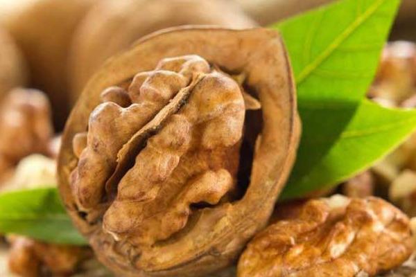 核桃分心木圖片大全 核桃分心木是什么東西