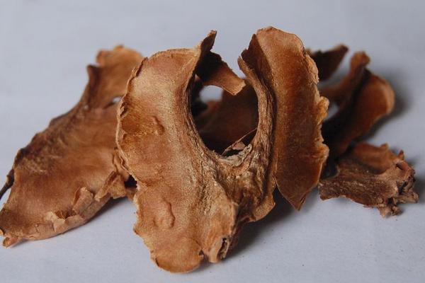 核桃分心木圖片大全 核桃分心木是什么東西