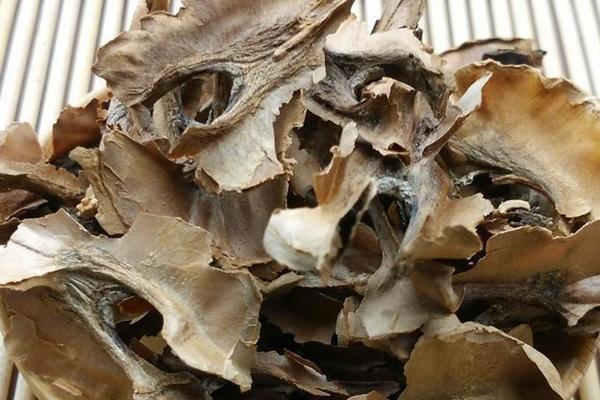 核桃分心木圖片大全 核桃分心木是什么東西