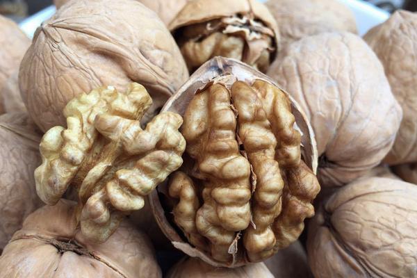 紙皮核桃的功效與作用及禁忌 紙皮核桃的營養價值