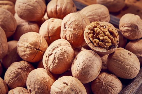 紙皮核桃的功效與作用及禁忌 紙皮核桃的營養價值