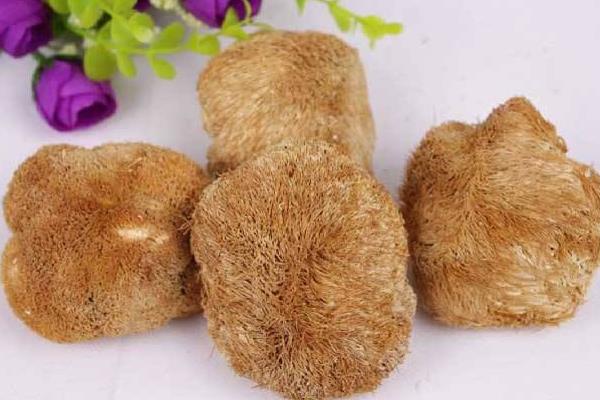 猴頭菇怎么洗 猴頭菇怎么做湯