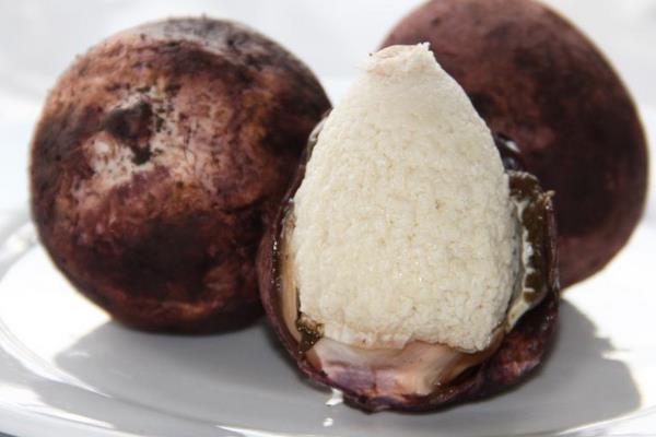 竹蓀蛋的做法大全 吃竹蓀蛋的好處