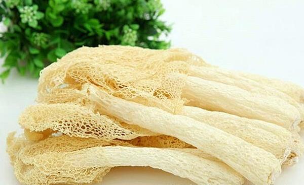 干竹蓀怎么吃 竹蓀怎么制干