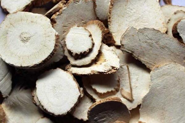 白芷種植技術(shù) 白芷種植時間及方法