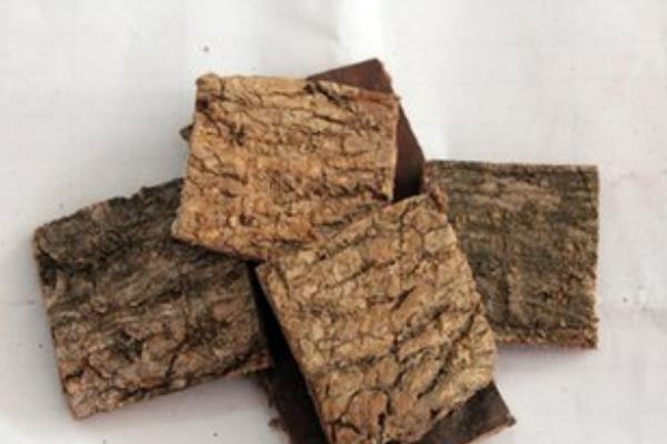 杜仲雄花和杜仲一樣嗎 杜仲和杜仲雄花的區別