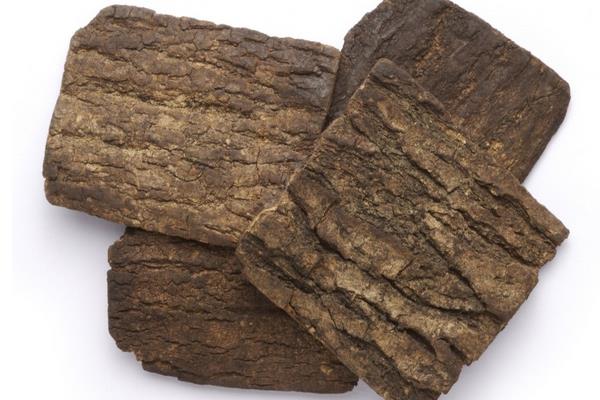 生杜仲與熟杜仲的區(qū)別是什么 杜仲的食用價值