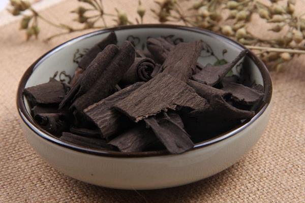 杜仲炭的功效與作用及禁忌