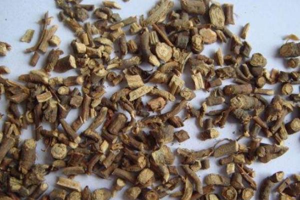 柴胡市場價格多少錢一斤 柴胡有什么功效