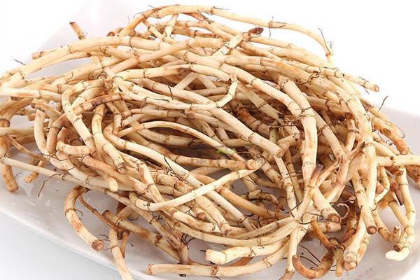 魚腥草市場價格多少錢一斤 魚腥草的種植技術