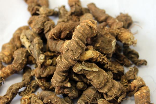 黃連圖片大全 黃連是什么 黃連治什么病