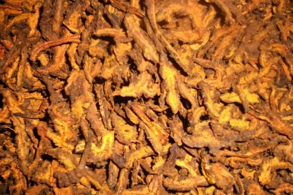 黃連圖片大全 黃連是什么 黃連治什么病