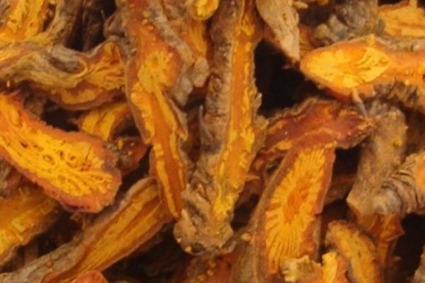 黃連市場價格多少錢一斤  黃連的產(chǎn)地