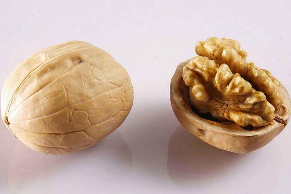 一斤核桃出多少核桃仁 核桃的營養價值