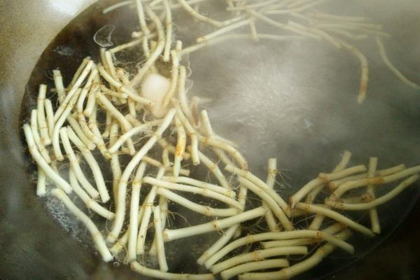 魚腥草能治痔瘡嗎 魚腥草治療痔瘡的做法