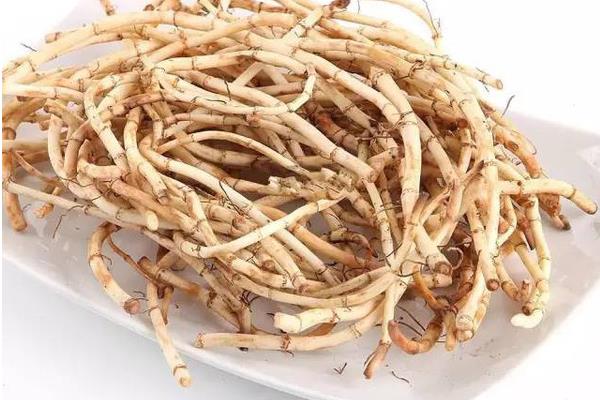 魚腥草圖片大全 魚腥草別名