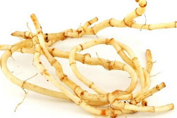 魚腥草圖片大全 魚腥草別名