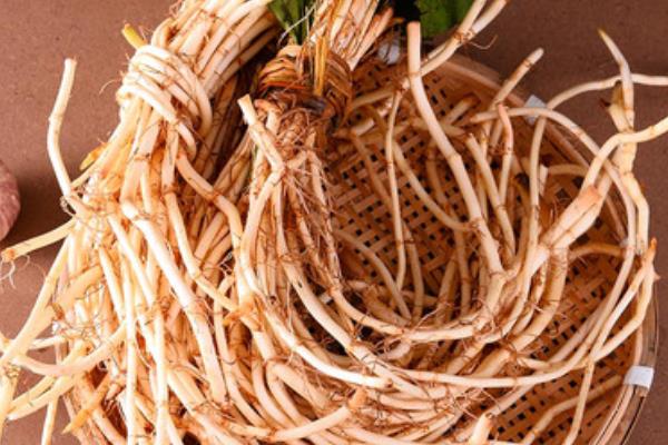 魚腥草圖片大全 魚腥草別名