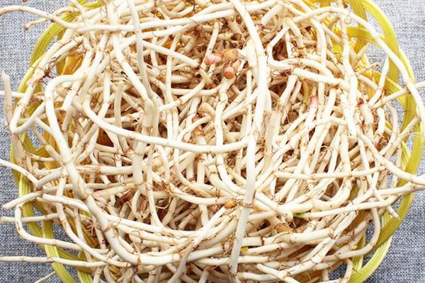 魚腥草圖片大全 魚腥草別名