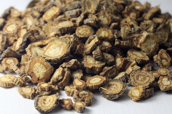 防風的功效與作用及禁忌