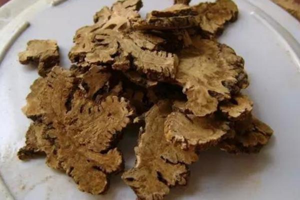 川芎產(chǎn)地在哪里 川芎的食用方法