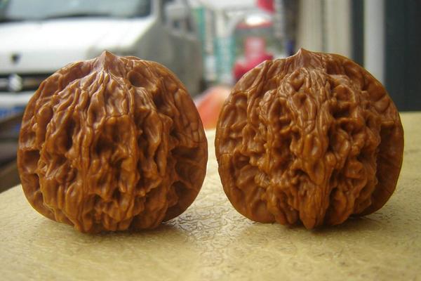 獅子頭核桃市場價格多少錢一對 獅子頭核桃是什么