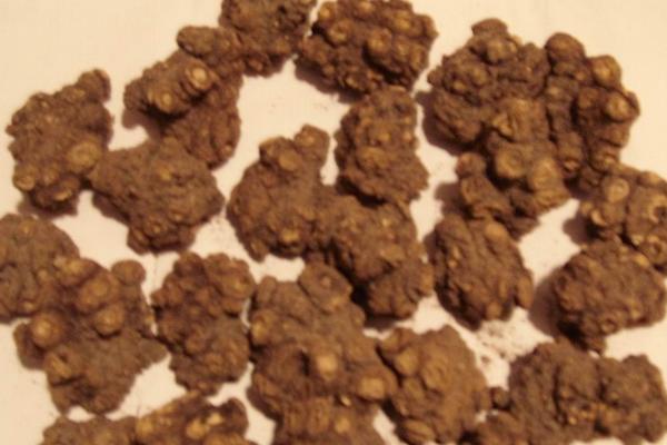 川芎種植技術 川芎種植時間及方法