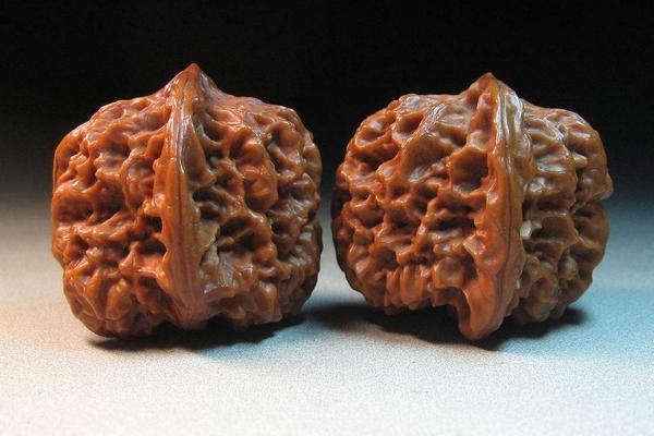 獅子頭核桃市場(chǎng)價(jià)格多少錢一對(duì) 獅子頭核桃是什么