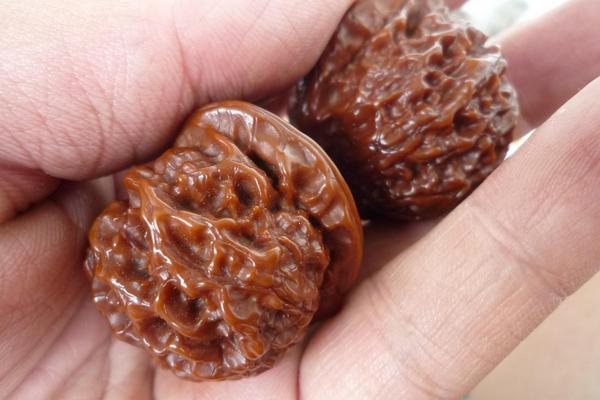 獅子頭核桃市場(chǎng)價(jià)格多少錢一對(duì) 獅子頭核桃是什么