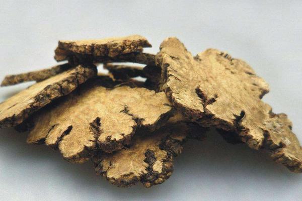 川芎的功效與作用及禁忌 川芎怎么用