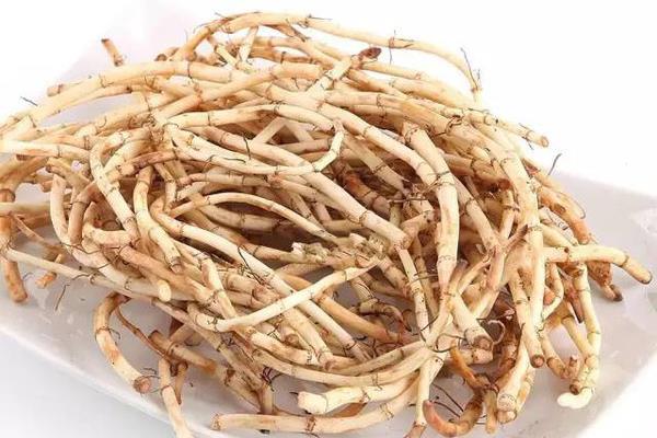 魚腥草的功效與作用及禁忌 魚腥草的挑選技巧