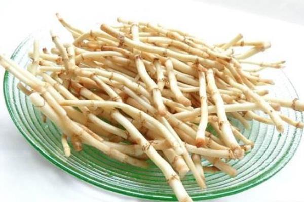 魚腥草的功效與作用及禁忌 魚腥草的挑選技巧