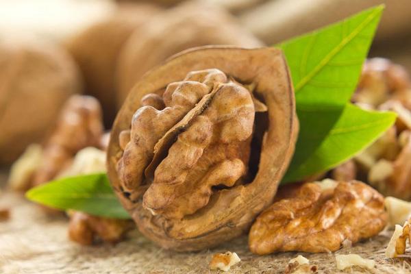 核桃生吃好還是熟吃好 生核桃的功效與作用