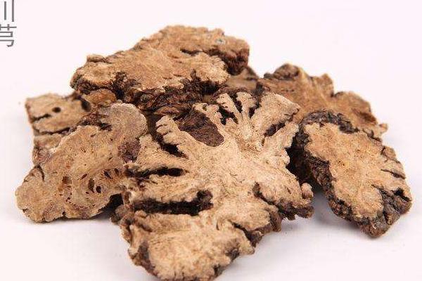 川芎的功效與作用及禁忌 川芎怎么用