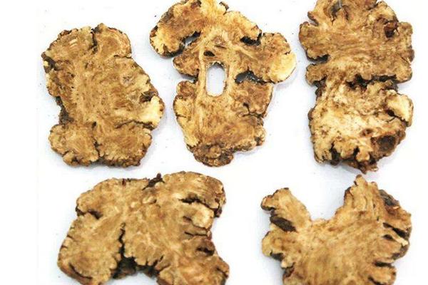 川芎的功效與作用及禁忌 川芎怎么用