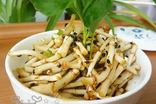 魚腥草能治痔瘡嗎 魚腥草治療痔瘡的做法