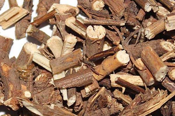 柴胡圖片大全 柴胡使用方法