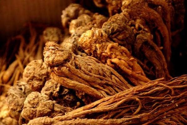 當歸怎么選 當歸辨別方法