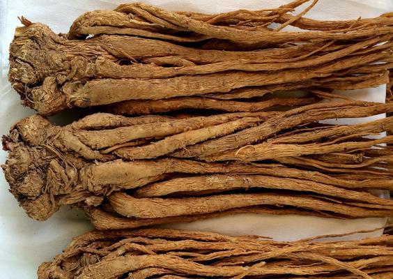 當歸怎么選 當歸辨別方法