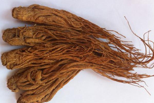 當歸怎么選 當歸辨別方法