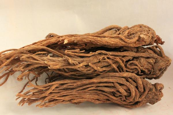 當歸怎么選 當歸辨別方法