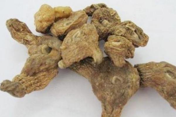 黃精哪里產(chǎn)的最好 黃精的形態(tài)特征