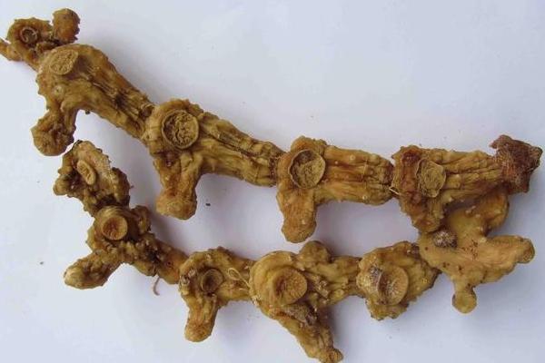 雞頭黃精和滇黃精的區別是什么 黃精的功效作用