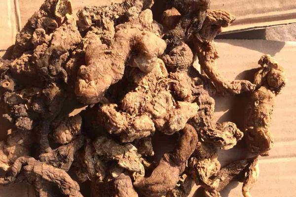 生黃精和熟黃精的區(qū)別是什么 黃精的藥用價(jià)值