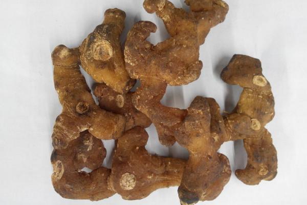 生黃精和熟黃精的區(qū)別是什么 黃精的藥用價(jià)值